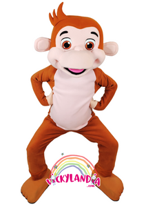 Mono Roko es pura energía, color y carisma. Perfecto para animar fiestas, atraer clientes y dar vida a cualquier evento. ¡Un personaje que convierte momentos en recuerdos inolvidables!