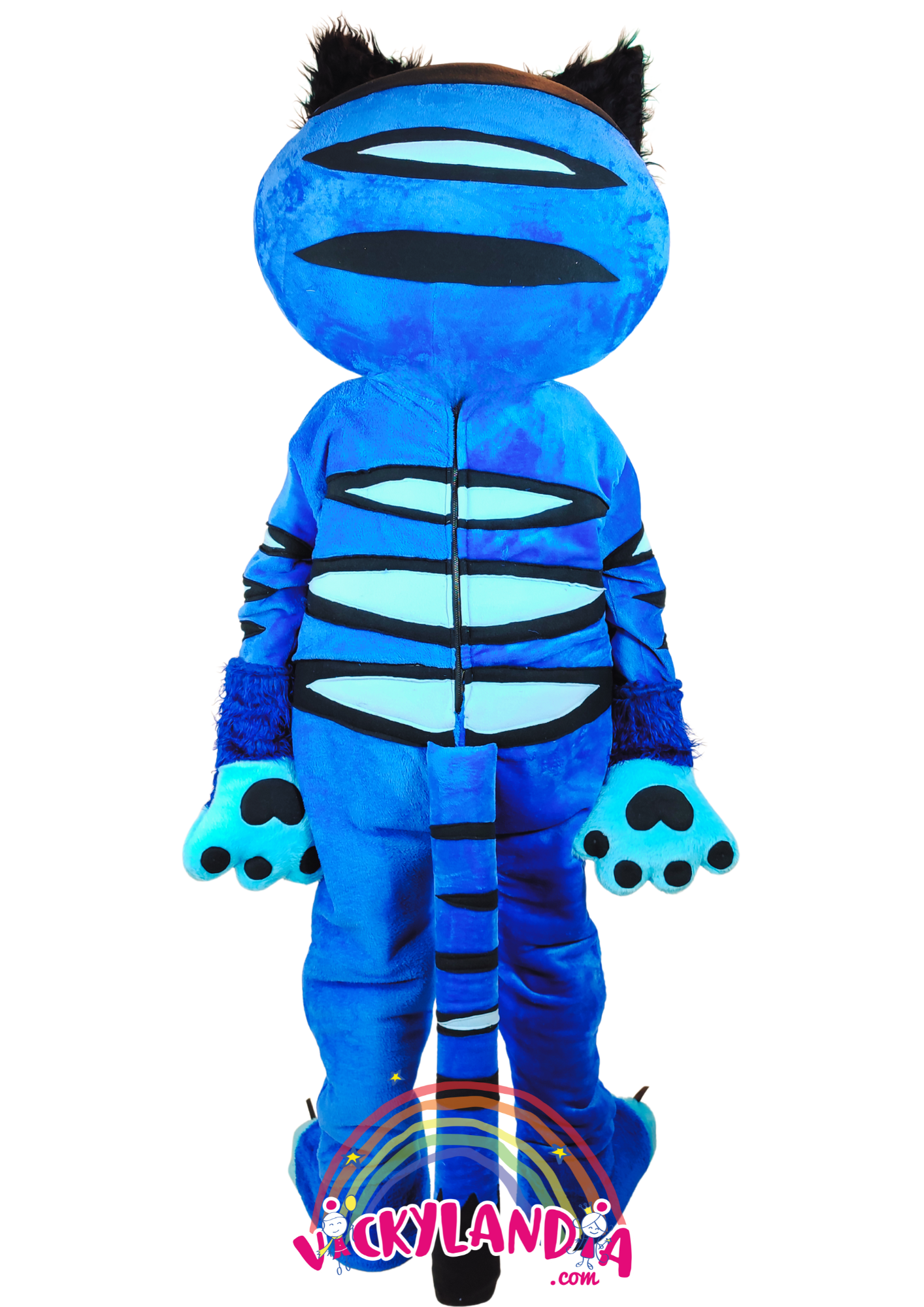 ✨MichiAzul Fiesta✨ Venta