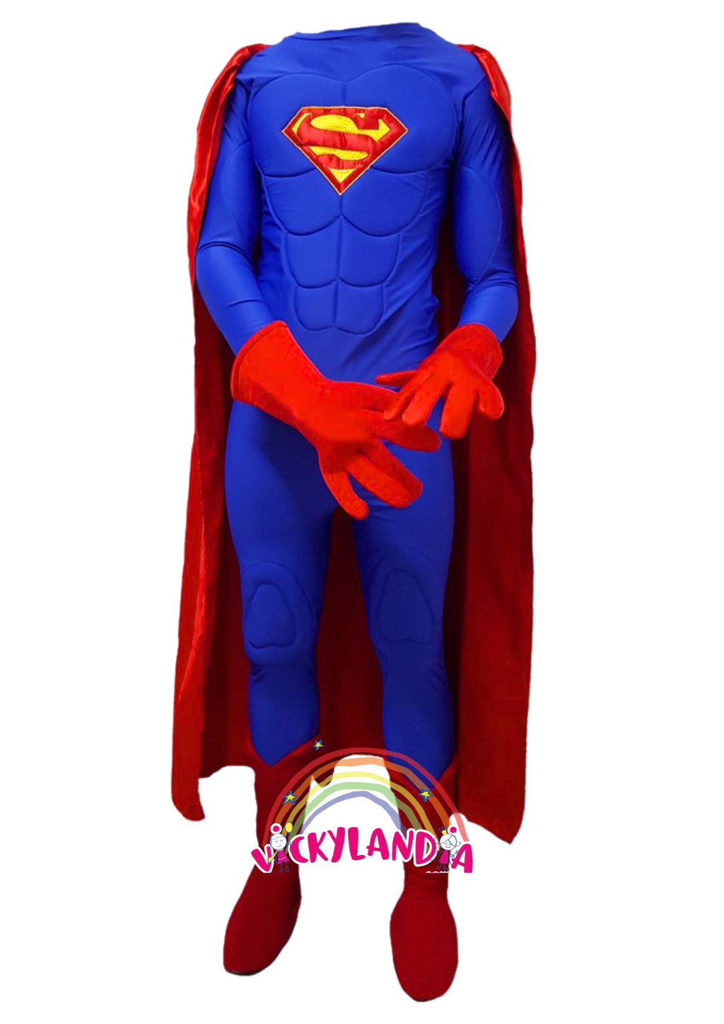 Descubre la magia de nuestro personaje promocional de Superhéroe del Cielo Cosplay en Vickylandia. Estos trajes son ideales para animar fiestas infantiles, shows, cumpleaños, campañas publicitarias fiestas patronales, espectáculos, desfiles y todo tipo de eventos. ¡Dale un toque especial a tu ocasión con nuestros emocionantes disfraces!