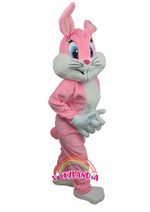 Cargar imagen en el visor de la galería, Descubre la magia de nuestro muñeco publicitario de Coneja Rosa en Vickylandia. Son disfraces cabezones perfectos para fiestas infantiles, shows, cumpleaños, estrategias publicitarias, espectáculos, cabalgatas y cualquier tipo de evento.
